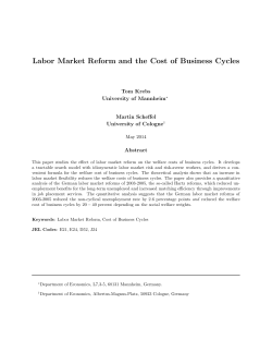 Labor Market Reform and the Cost of Business Cycles