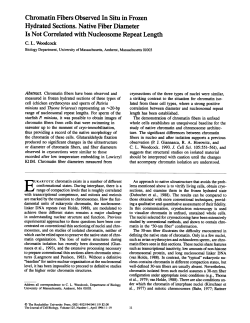 Chromatin Fibers Observed In Situ in Frozen