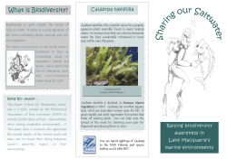 Enviro Brochure - Lake Macquarie City Council