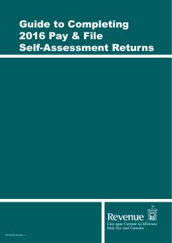 Guide to Completing 2016 Pay and File Tax Returns