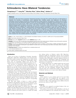 Echinoderms Have Bilateral Tendencies