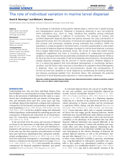 The role of individual variation in marine larval dispersal