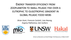 ENERGY TRANSFER EFFICIENCY FROM ZOOPLANKTON TO
