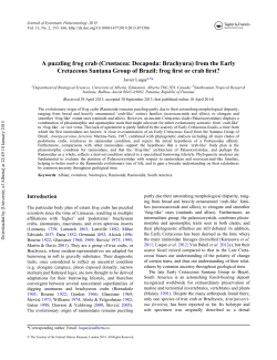 A puzzling frog crab \(Crustacea: Decapoda: Brachyura\) from the