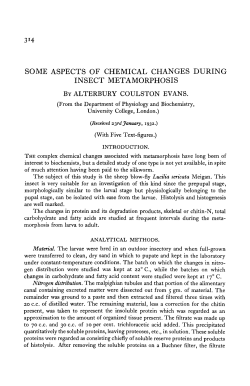 some aspects of chemical changes during insect metamorphosis