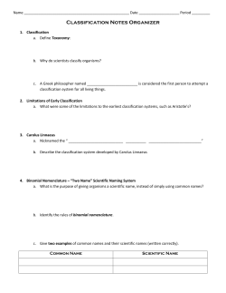 Classification Notes Organizer