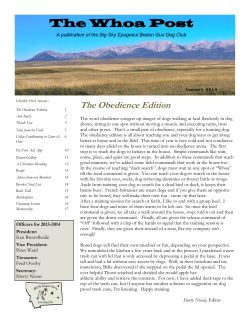 The Whoa Post - Big Sky Epagneul Breton Gun Dog Club