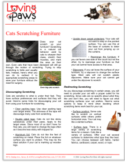 Cats Scratching Furniture