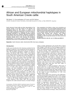African and European mitochondrial haplotypes in South