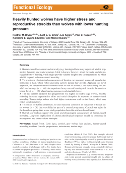 Heavily hunted wolves have higher stress and reproductive steroids