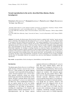 Sexual reproduction in the newly-described blue diatom