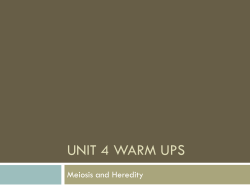 Unit 4 Warm Ups