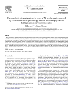 Photosynthetic pigment contents in twigs of 24 woody species