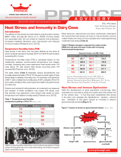 Heat Stress and Immunity in Dairy Cows
