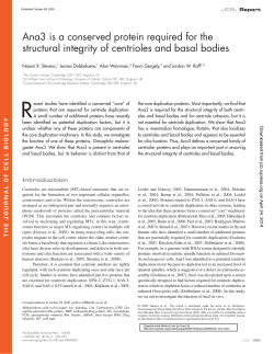 Ana3 is a conserved protein required for the structural integrity of