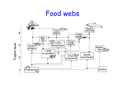 FOOD WEBS&mdash;INDIRECT EFFECTS AND TROPHIC CASCADES