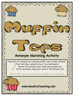 Antonym Matching Activity