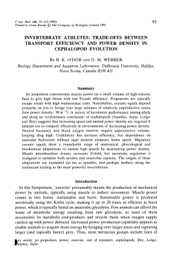 invertebrate athletes: trade-offs between transport efficiency and