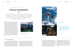 A focus on plankton - University of Troms&oslash;