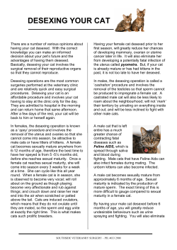 desexing your cat
