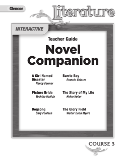 Novel Companion