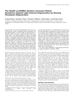 The Rpe65 Leu450Met Variation Increases Retinal Resistance