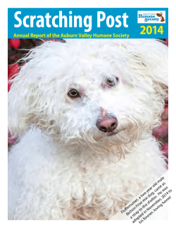AVHS Annual Report 2014 - Auburn Valley Humane Society