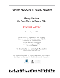 Hamilton Roundtable Strategic Overview Plan