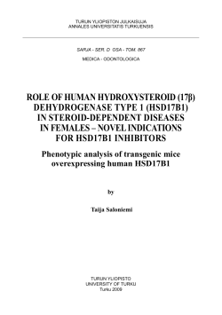 Role of human hydroxysteroid (17&beta;) dehydrogenase type 1