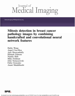 Mitosis detection in breast cancer pathology images by combining