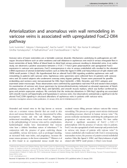 Arterialization and anomalous vein wall remodeling in varicose