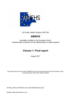 Final Report - AMIEHS