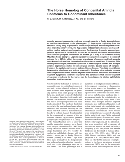 The Horse Homolog of Congenital Aniridia Conforms to Codominant