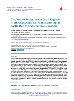 Glyphosate Resistance in Giant Ragweed