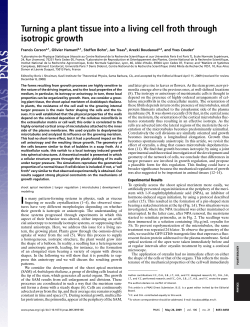 Turning a plant tissue into a living cell froth through isotropic growth