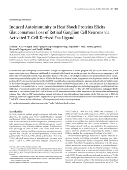 Induced Autoimmunity to Heat Shock Proteins Elicits Glaucomatous