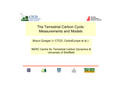 The Terrestrial Carbon Cycle