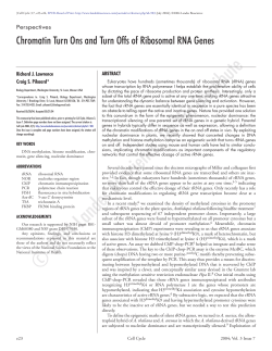 Chromatin Turn Ons and Turn Offs of Ribosomal RNA Genes