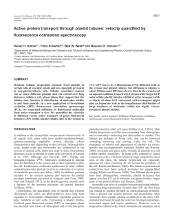 Active transport through plastid tubules