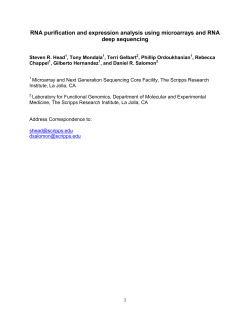 RNA Purification and Expression Analysis