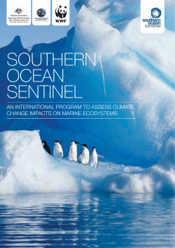 southern ocean sentinel - WWF