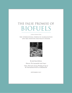 The False Promise of Biofuels - International Forum on Globalization