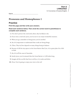 Pronouns and Homophones 1 - Macmillan/McGraw-Hill