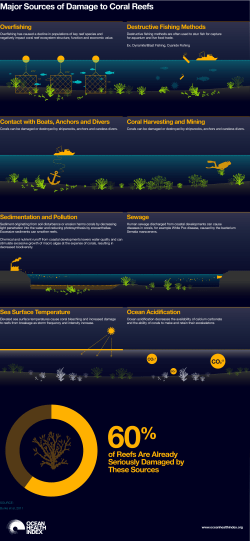 Major Sources of Damage to Coral Reefs