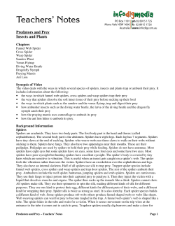 Predators and Prey Insects and Plants