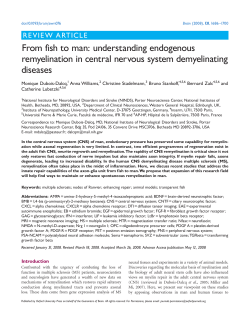 From fish to man: understanding endogenous remyelination