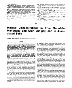 Mineral Concentrations in True Mountain Mahogany and Utah
