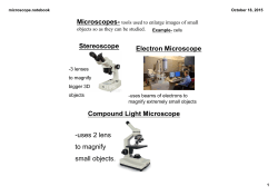 the compound light microscope