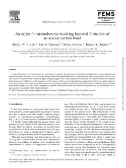 An origin for arsenobetaine involving bacterial formation