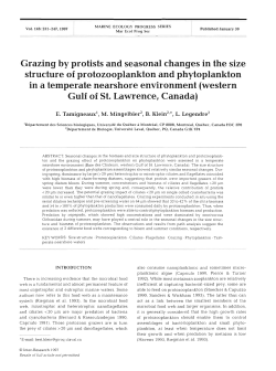 Grazing by protists and seasonal changes in the size structure of